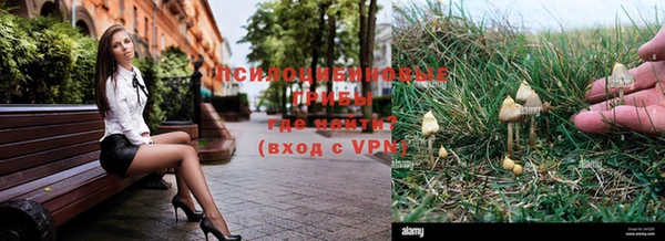 шишки Белоозёрский