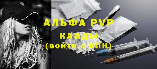 дурь Богданович