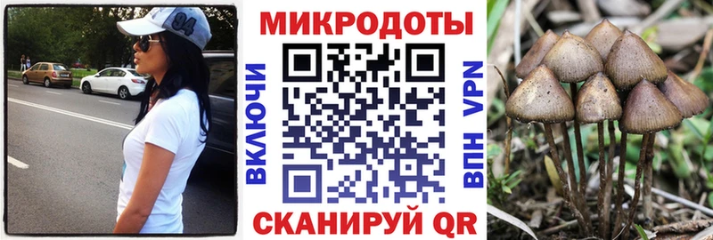 Галлюциногенные грибы Magic Shrooms  Бугуруслан 